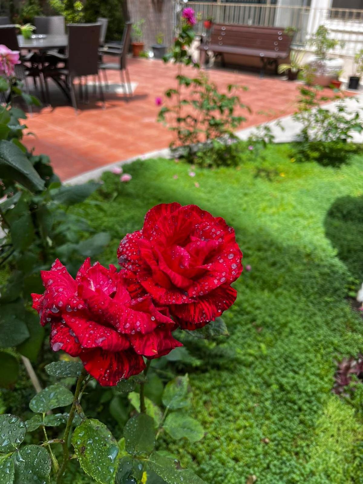 Rose Garden Omax Apartments ซันนีบีช ภายนอก รูปภาพ